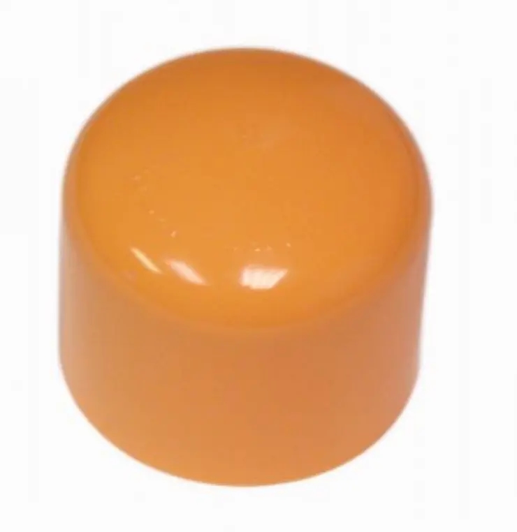 CPVC Cap