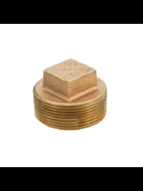 BF B-PLS09 2-1/2" BRASS PLUG - SOLID