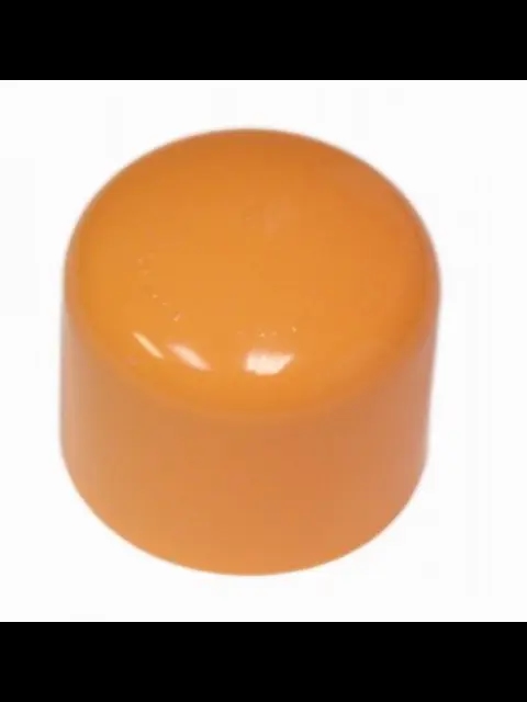 Tyco BlazeMaster 1" Orange CPVC Cap For Fire Sprinkler