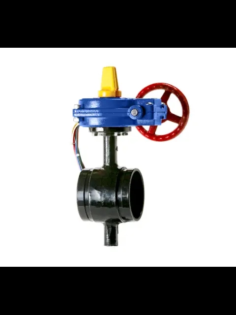 ALEUM HPG-300 2-1/2" Grooved Ductile Iron Butterfly Valve Supervised Open W/Tamper Switch