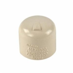 2" CPVC Gold Cap