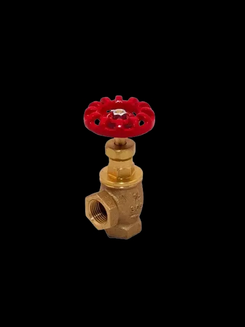 2" Globe Valve